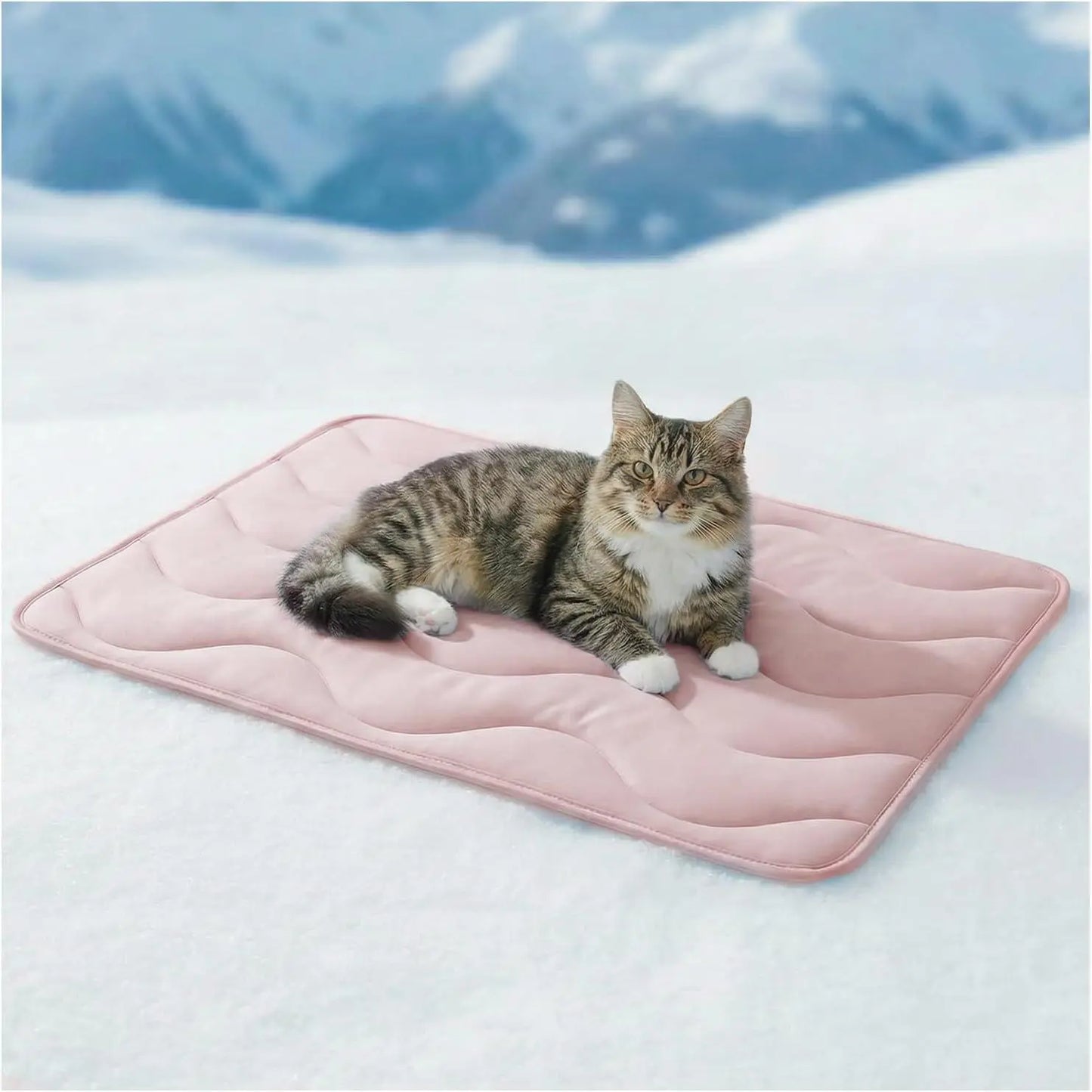 Beat the heat this summer! 🌞🐾 Check out our 30"x20" Dog Cooling Mat - perfect for large dogs and cats! Durable, portable, and made with thickened cool fiber for ultimate comfort. Ideal for indoor & outdoor fun! 💙 #PetCooling #SummerVibes