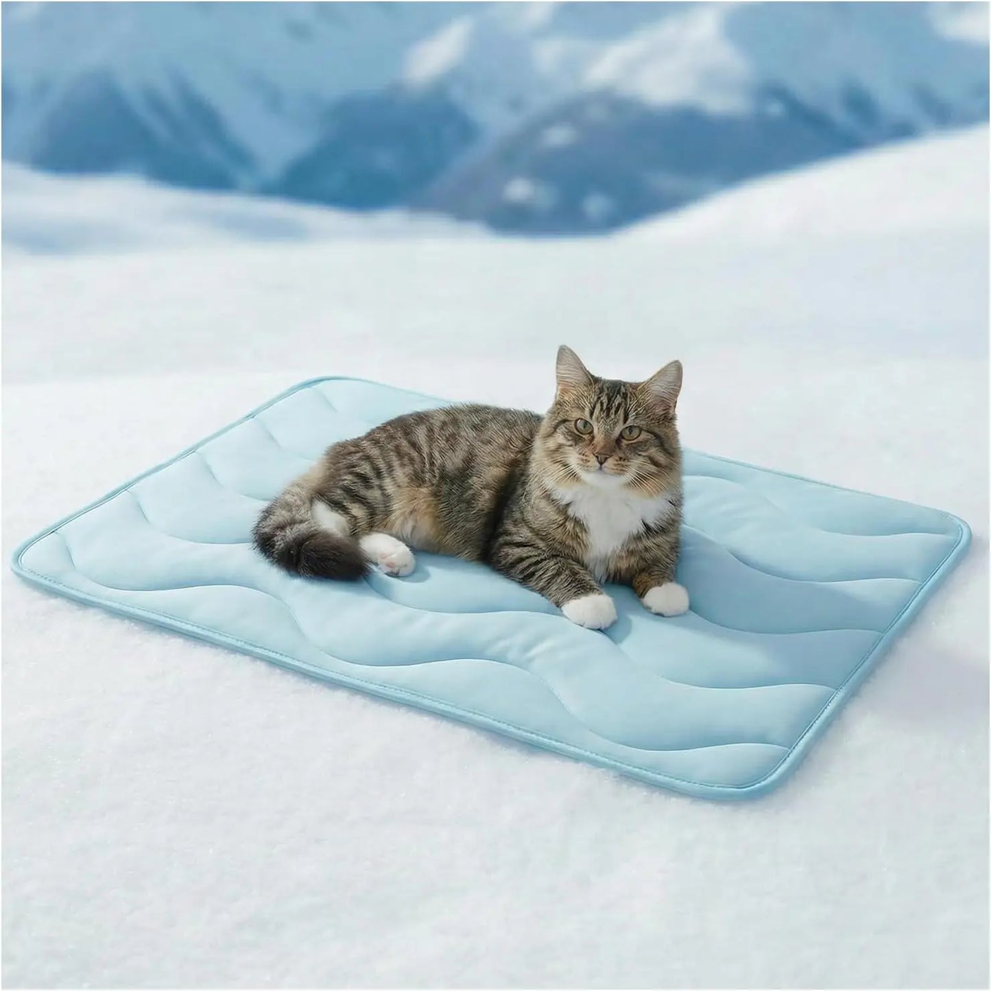 Beat the heat this summer! 🌞🐾 Check out our 30"x20" Dog Cooling Mat - perfect for large dogs and cats! Durable, portable, and made with thickened cool fiber for ultimate comfort. Ideal for indoor & outdoor fun! 💙 #PetCooling #SummerVibes