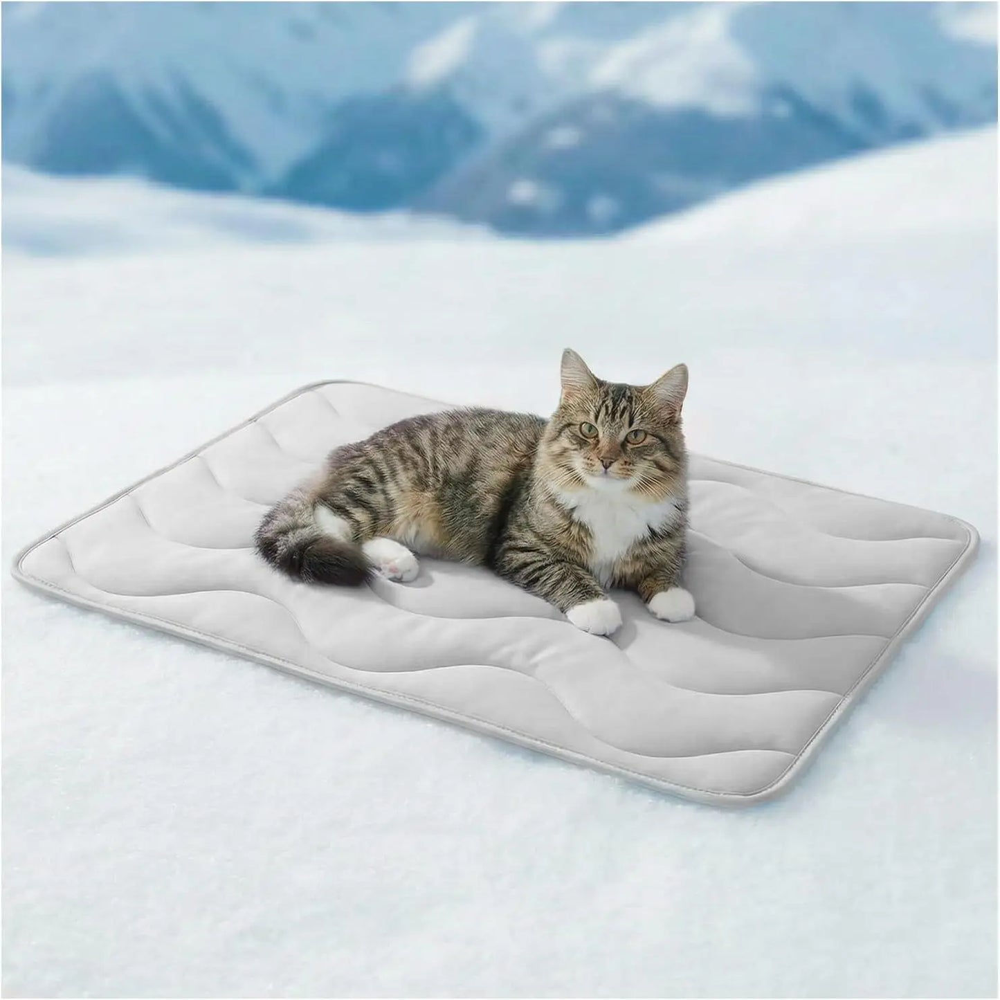 Beat the heat this summer! 🌞🐾 Check out our 30"x20" Dog Cooling Mat - perfect for large dogs and cats! Durable, portable, and made with thickened cool fiber for ultimate comfort. Ideal for indoor & outdoor fun! 💙 #PetCooling #SummerVibes