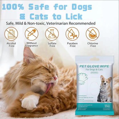 Say goodbye to messy bath times! 🐾✨ Check out our Pet Gloves & Wipes for easy grooming on-the-go! 🐶🐱 Hypoallergenic, moisturizing, and no rinse needed! Perfect for travel! 🧼✈️ #PetCare #GroomingEssentials