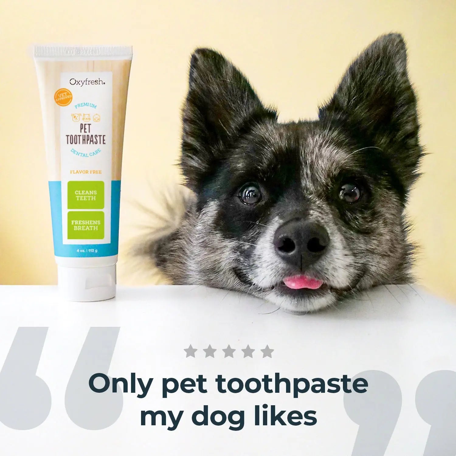 Say goodbye to plaque! 🐾✨ Discover the ultimate premium pet toothpaste for sparkling clean teeth! 🦷❤️ #PetCare #HealthyPets