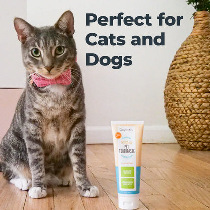 Say goodbye to plaque! 🐾✨ Discover the ultimate premium pet toothpaste for sparkling clean teeth! 🦷❤️ #PetCare #HealthyPets